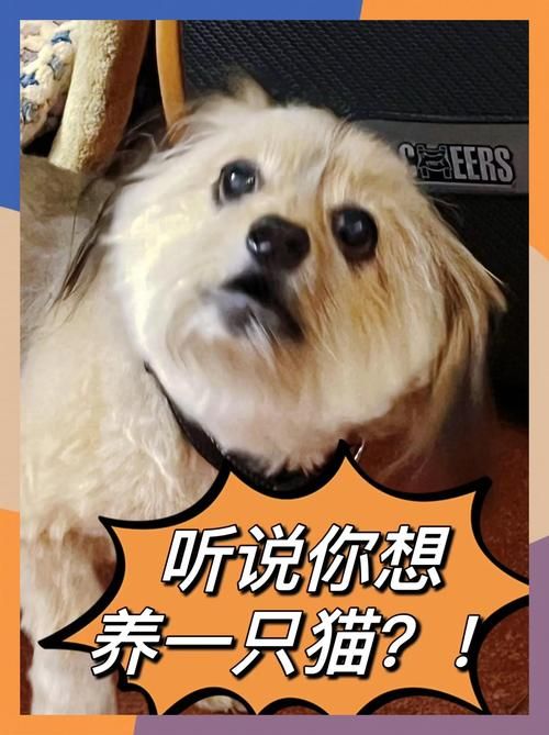 如何正确使用www286eee 新手必看教程指南