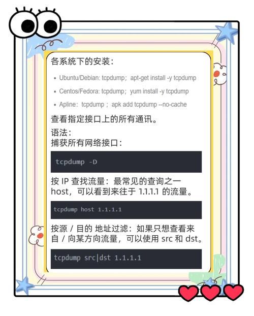 如何正确输入proumb站网址 常见错误排查方法