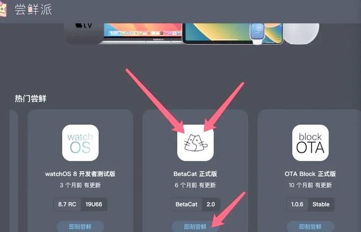 如何降级ios版本 常见问题与解决方法大全