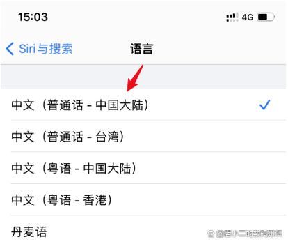 如龙0如何设置中文 快速找到语言修改选项