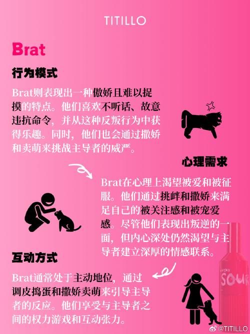 字母圈是是什么意思 快速了解这个流行词汇
