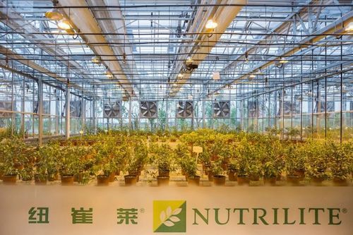 安利易联网业绩查询步骤 一分钟学会查看销售报表