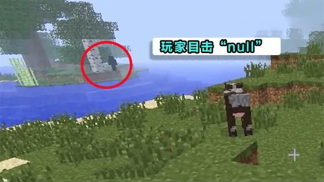 安布雷拉安全部队历史发展从成立到现在的故事