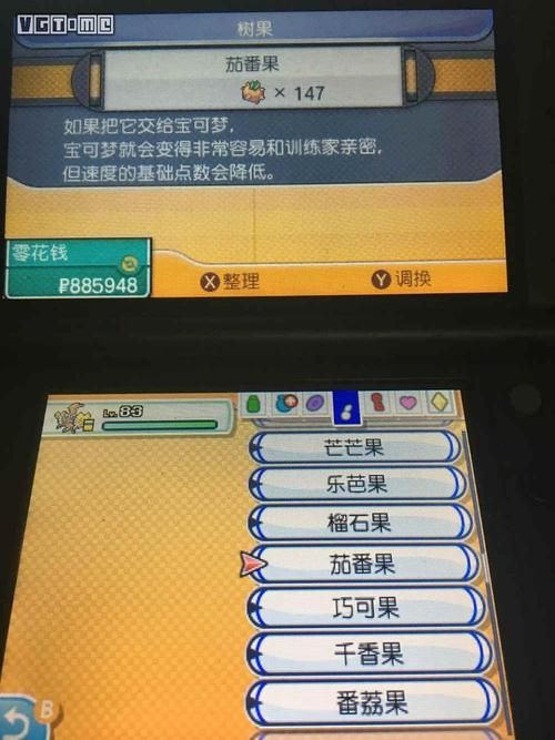 宝可梦究极日月详细攻略 从开局到通关全解析