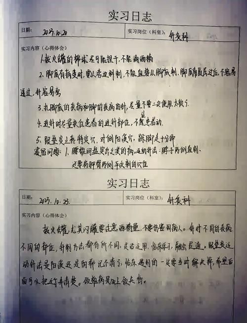实习岗位性质和内容揭秘：实习生日常任务有哪些