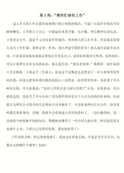 实习岗位性质和内容揭秘：实习生日常任务有哪些