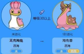 宠物小精灵珍珠攻略指南 地图探索与精灵进化全解析