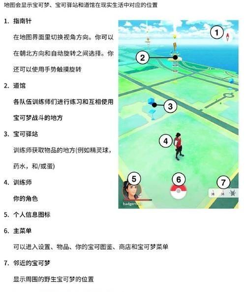 宠物小精灵珍珠攻略指南 地图探索与精灵进化全解析