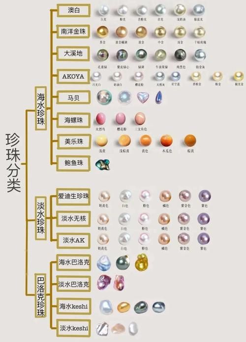 宠物小精灵珍珠版攻略大全 新手必看技巧分享