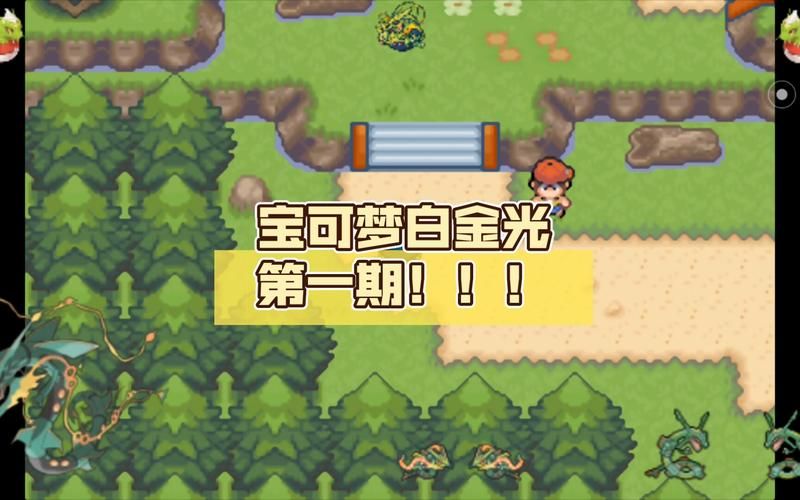 宠物小精灵白金攻略大全 新手快速通关技巧分享