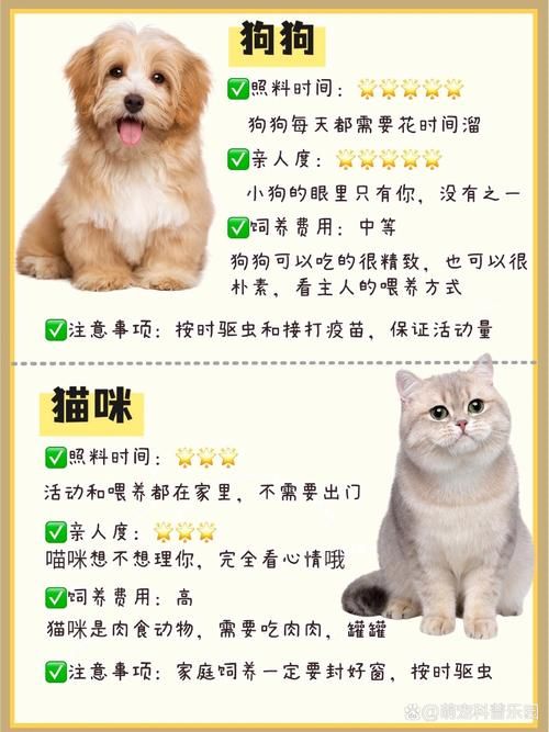 宠物连连看特别版攻略 快速通关技巧大公开