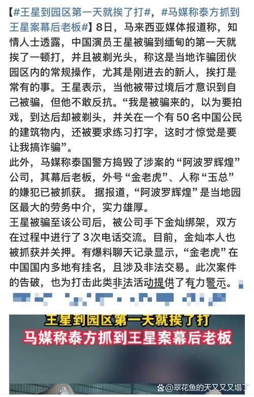 密室大逃脱致歉网友不买账节目组为何引发众怒