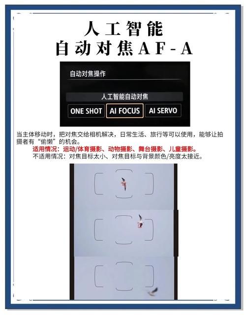 对焦是什么意思 摄影新手必学的基础知识