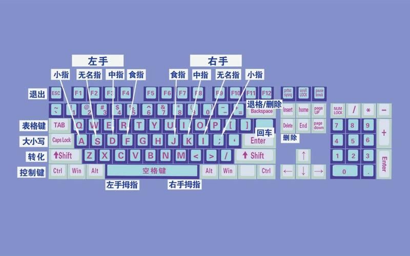 小学生键盘指法游戏大全 让孩子打字又快又准