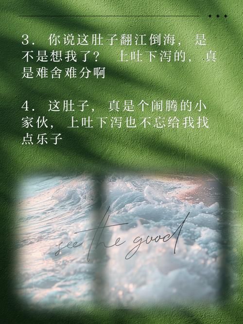 小家伙你找错地方了这些地方才是你应该去的