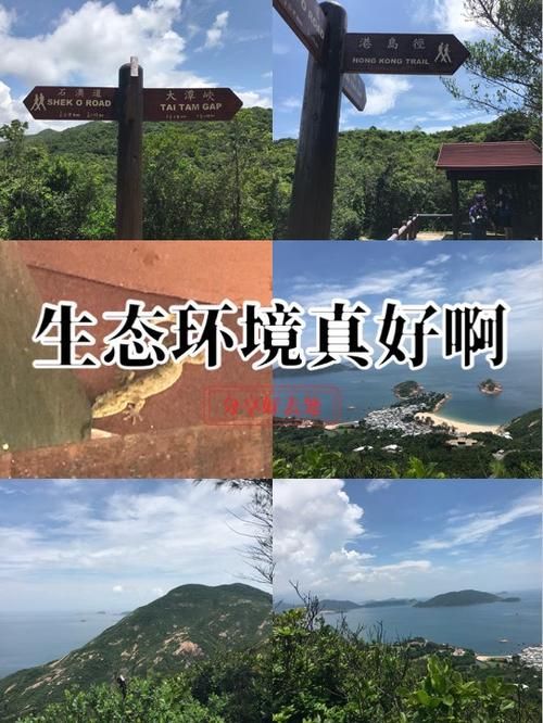小家伙你找错地方了这些地方才是你应该去的