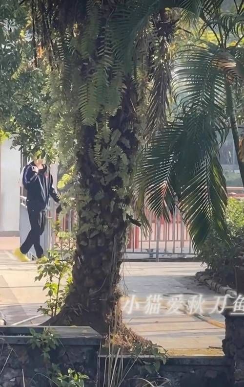 小白长得很像他哥哥妈妈都认错了