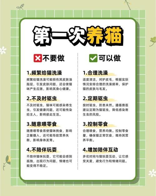 小白龟的猫分享饕餮盛宴的独家秘籍