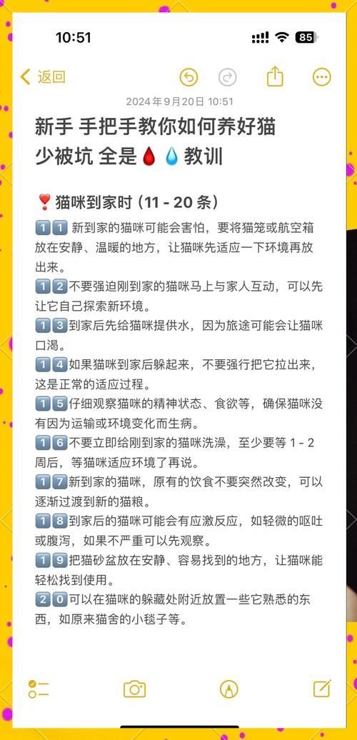 小白龟的猫分享饕餮盛宴的独家秘籍