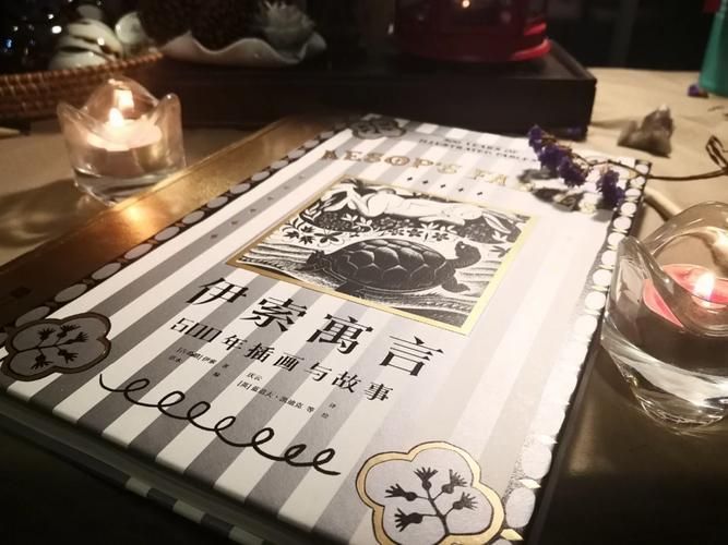 小白龟的猫分享饕餮盛宴的独家秘籍