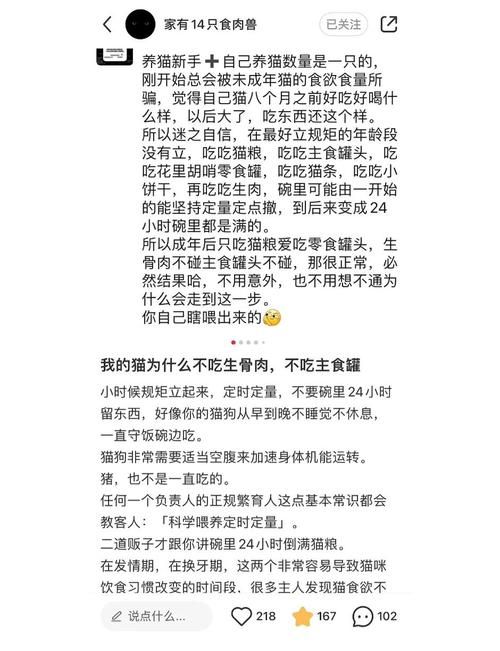 小白龟的猫分享饕餮盛宴的独家秘籍