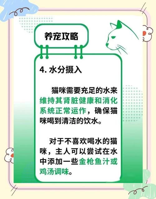 小白龟的猫分享饕餮盛宴的独家秘籍