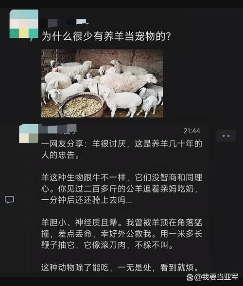 小羊会脏的是什么梗原来背后有这样的故事