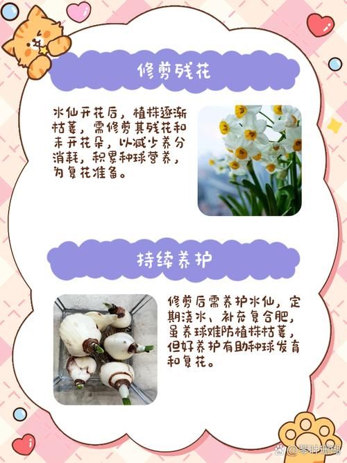 小花仙拯救花种攻略分享 轻松拯救枯萎花朵技巧