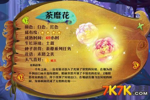 小花仙拯救花种攻略分享 轻松拯救枯萎花朵技巧