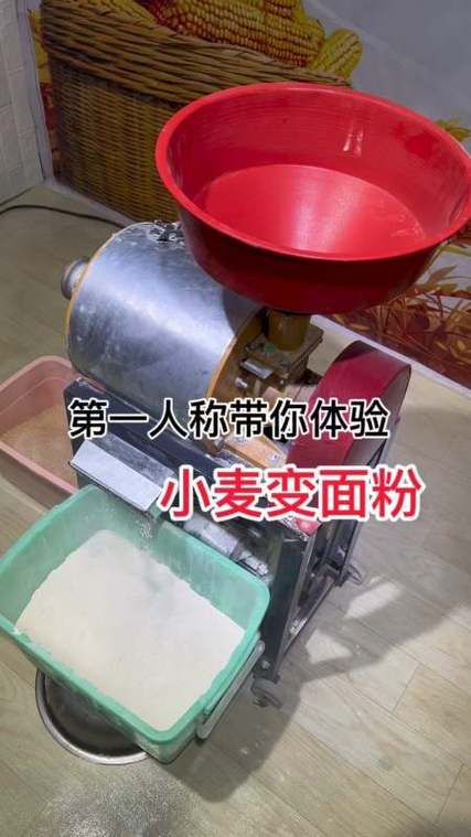 小麦怎么变成面粉的 从收割到磨粉全流程揭秘