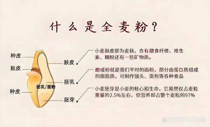 小麦怎么变成面粉的 从收割到磨粉全流程揭秘