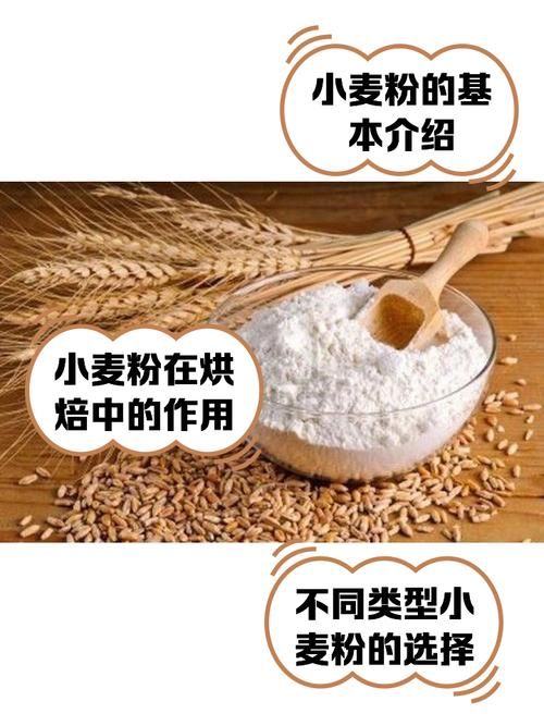 小麦怎么变成面粉的 从收割到磨粉全流程揭秘