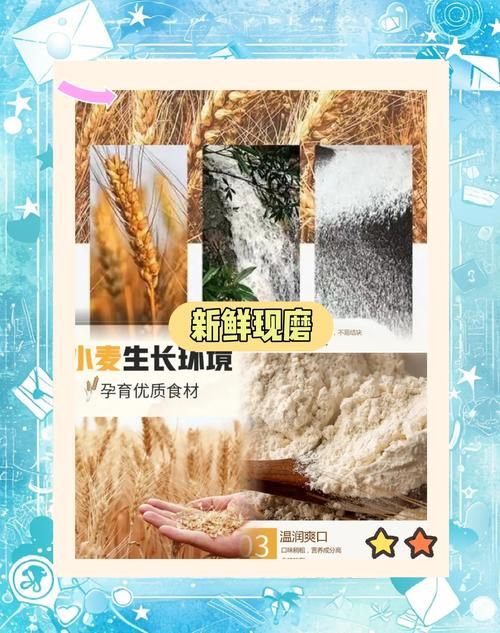 小麦怎么变成面粉的 从收割到磨粉全流程揭秘