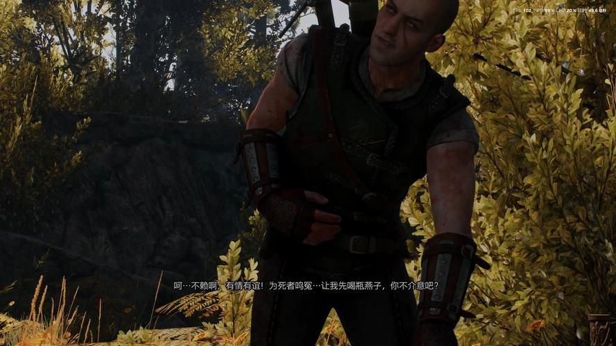 巫师3关门大吉之二背景故事 带你了解任务背后的真相