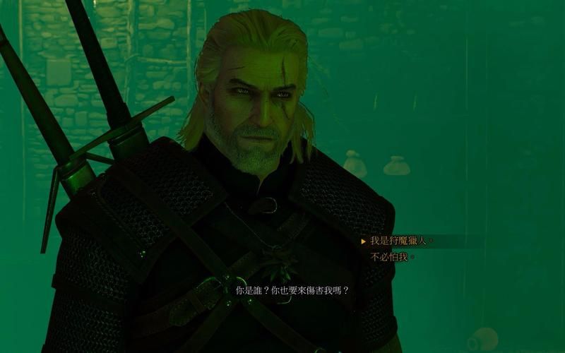 巫师3魔法灯怎么用 常见问题解答与使用指南