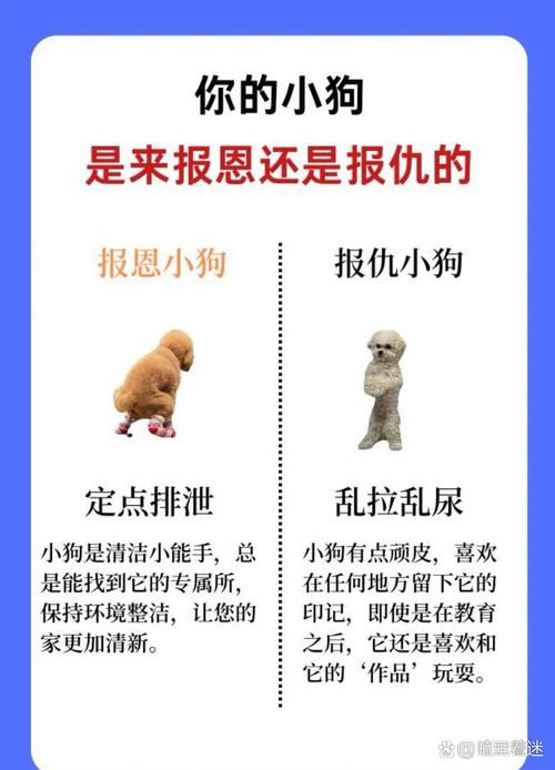 差不多先生哈狗帮的故事原来这么有趣