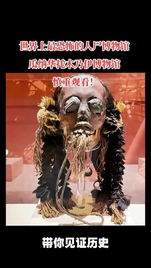 干尸和木乃伊的区别大揭秘 原来有这么多不同