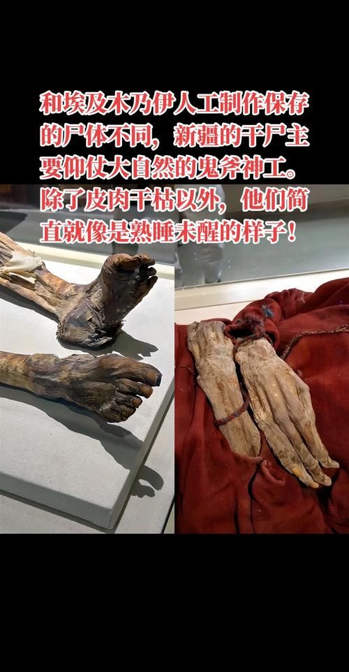 干尸和木乃伊的区别大揭秘 原来有这么多不同