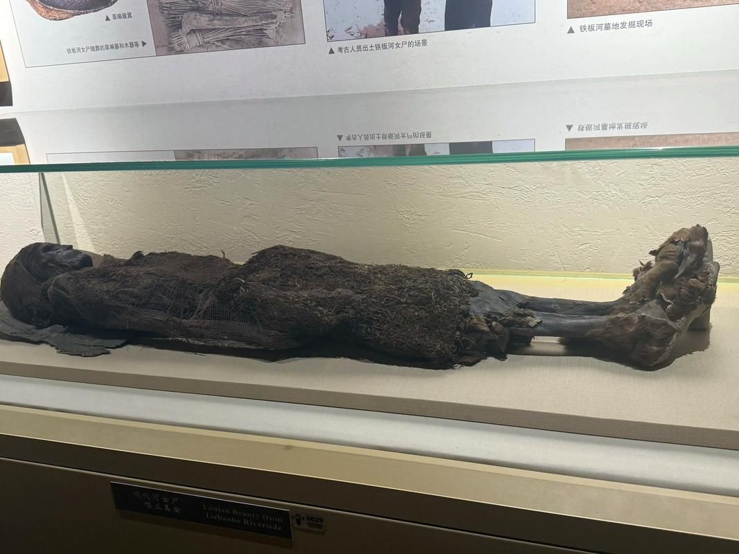 干尸和木乃伊的区别大揭秘 原来有这么多不同