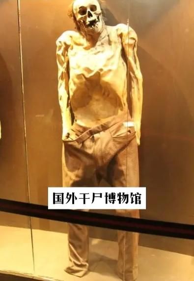 干尸和木乃伊的区别大揭秘 原来有这么多不同