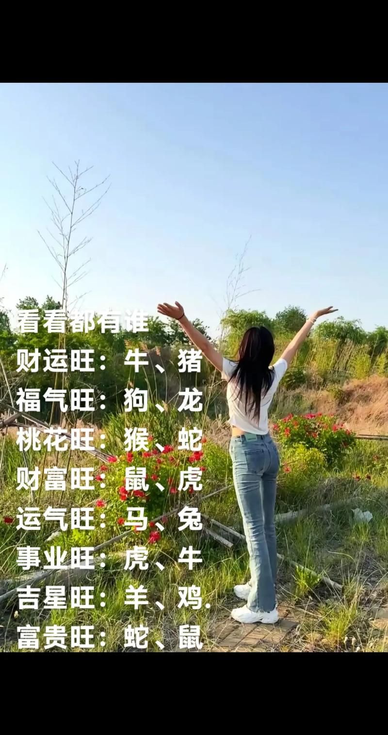 干柴烈火打一个生肖看看谁最符合