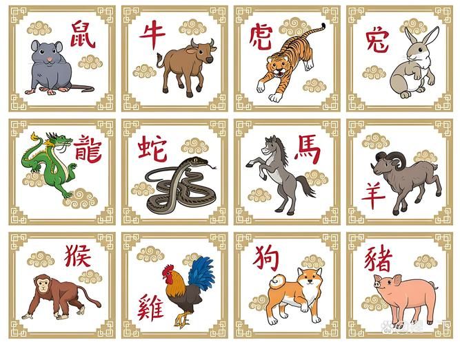 干柴烈火打一个生肖看看谁最符合