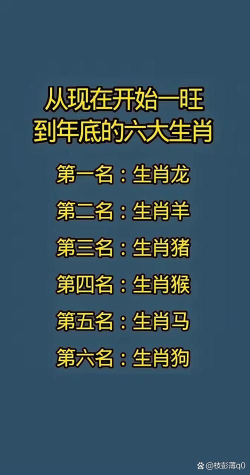 干柴烈火打一个生肖看看谁最符合