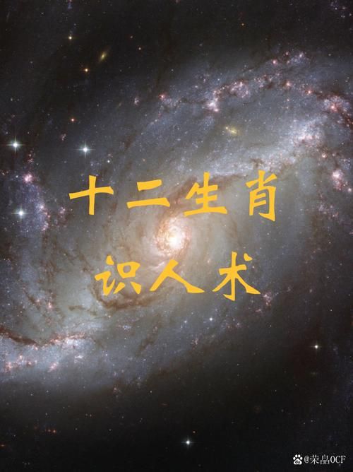 干柴烈火打一个生肖看看谁最符合