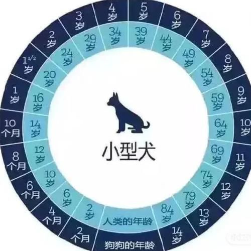 年龄计算器恋爱对象配对 看看你们差几岁