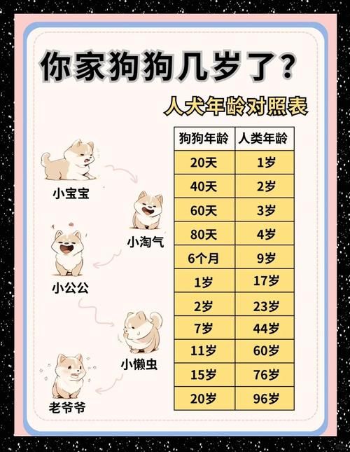 年龄计算器恋爱对象配对 看看你们差几岁