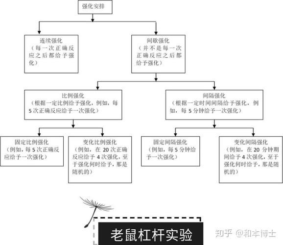 幼年斯皮兹的鳞片掉率高吗 掉落概率解析