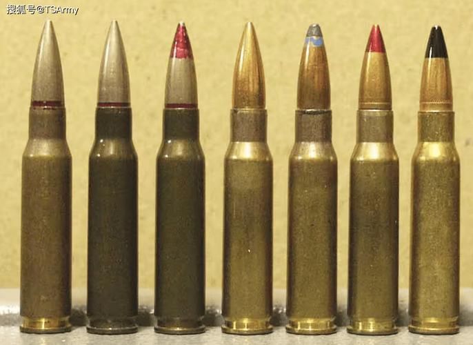 弹药专家用什么武器盘点他们最爱的几种武器类型