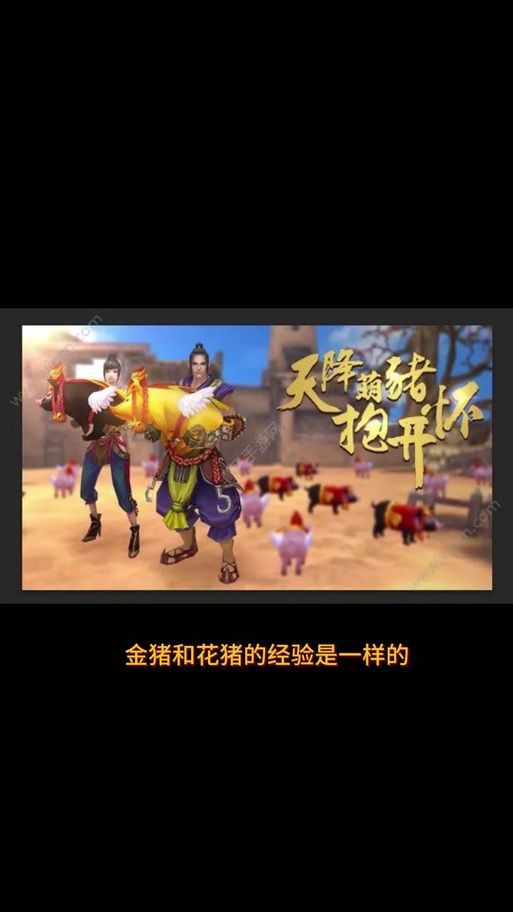 御龙在天坐骑繁殖技巧 轻松提升坐骑属性方法