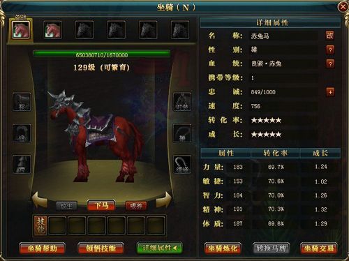 御龙在天生马技巧大全高效培养战马必备指南